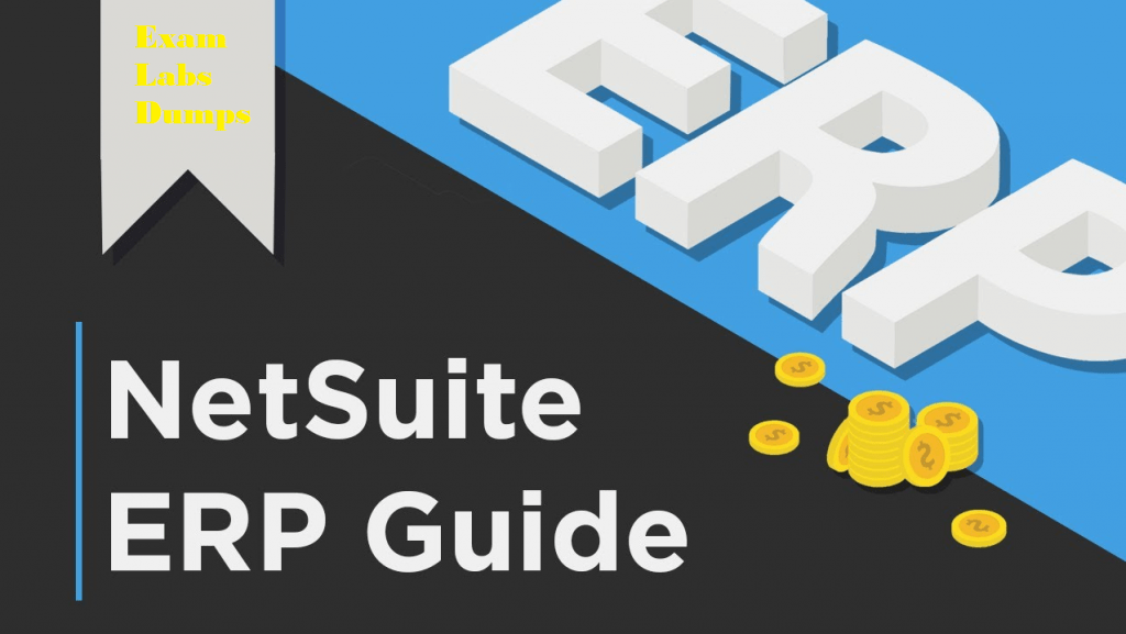 NetSuite ERP Consultant